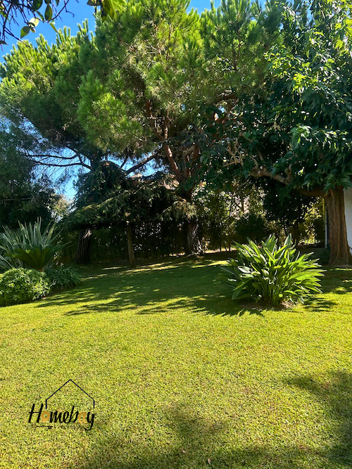 exterieur jardin villa super cannes