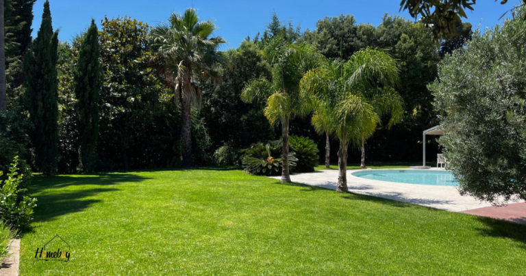 jardin maison de vacances vallauris golfe juan 768x404